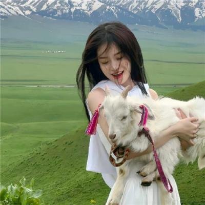 快乐的小鸡